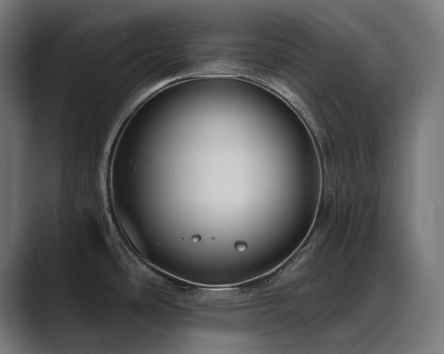 X0000089951486200706291202