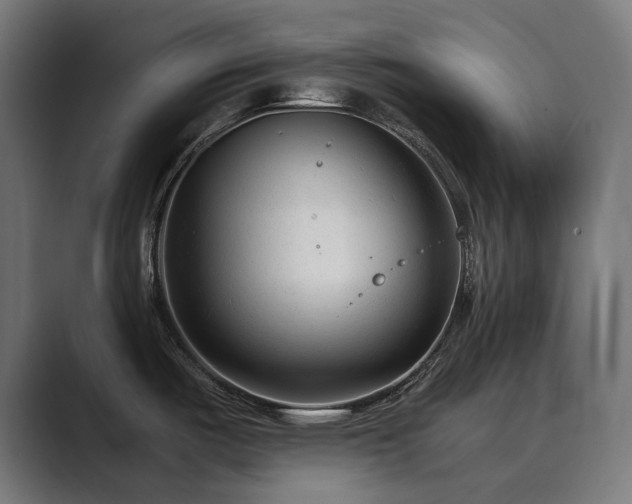X0000089951487200706291202