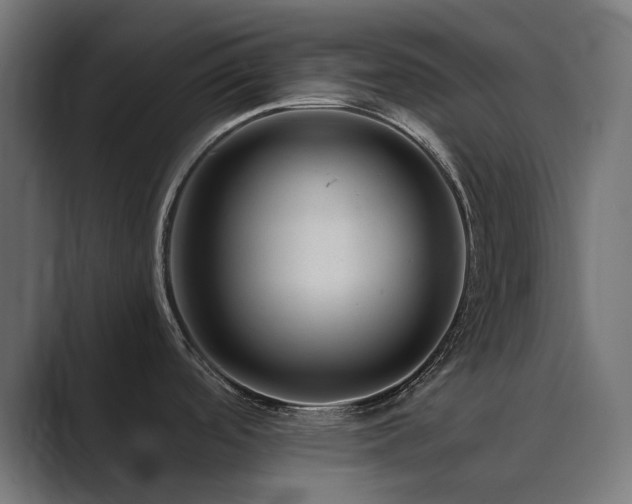 X0000089951488200706291202