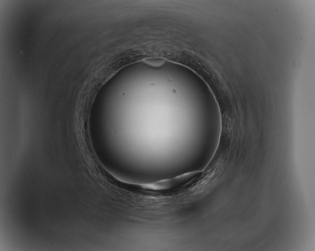 X0000089951489200706291202