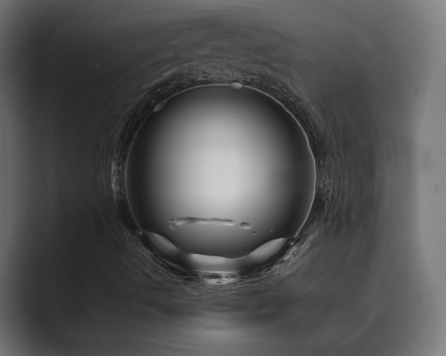 X0000089951490200706291202
