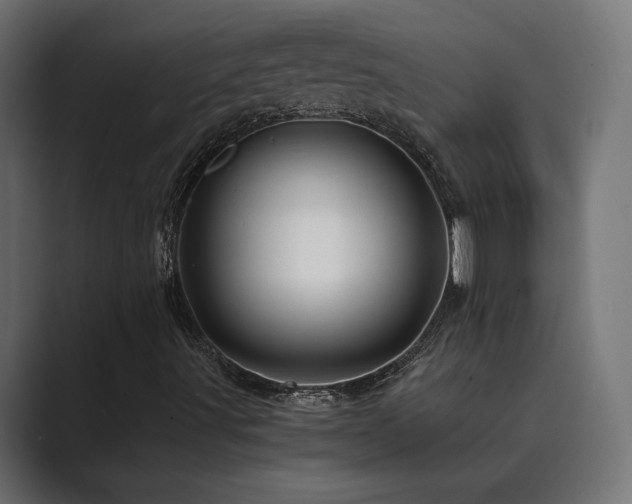 X0000089951491200706291202