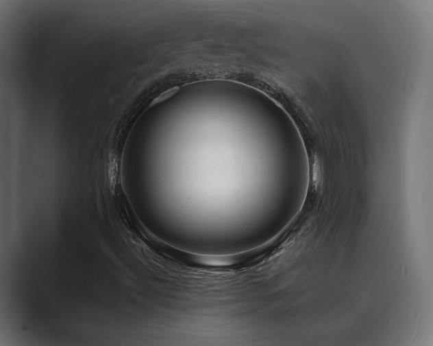 X0000089951492200706291202