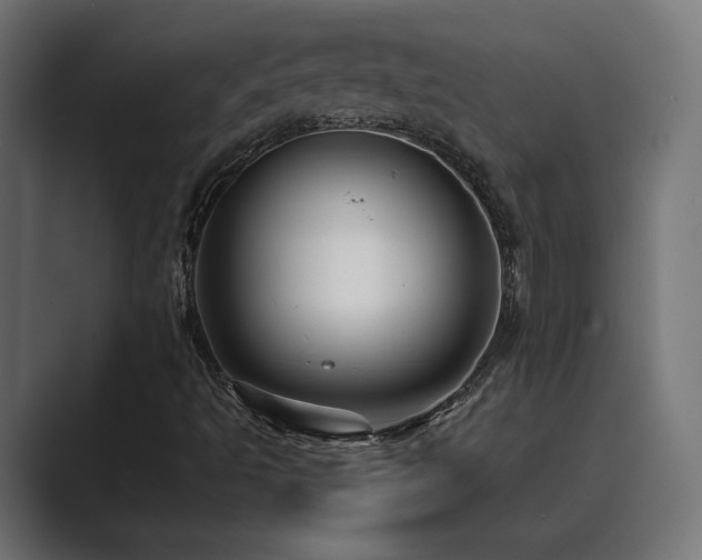 X0000089951493200706291202