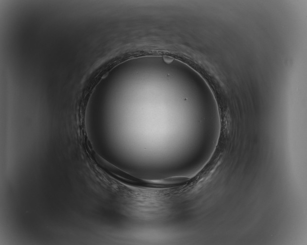 X0000089951494200706291202