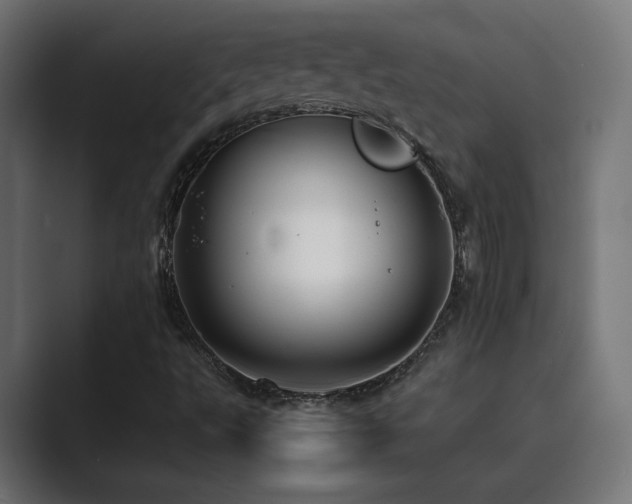 X0000089951495200706291202