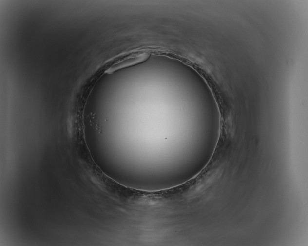 X0000089951496200706291202