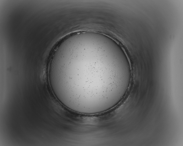 X0000089951498200706291202