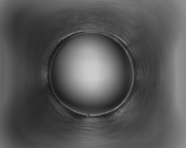 X0000089951499200706291202