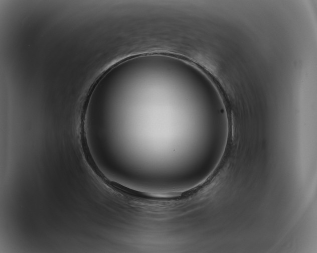 X0000089951500200706291202