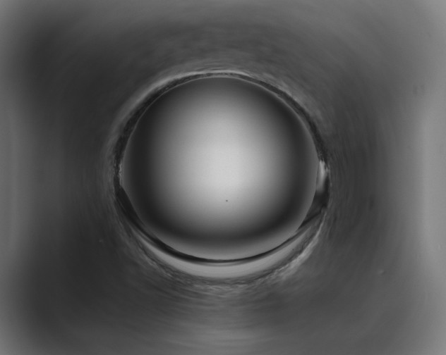 X0000089951502200706291202