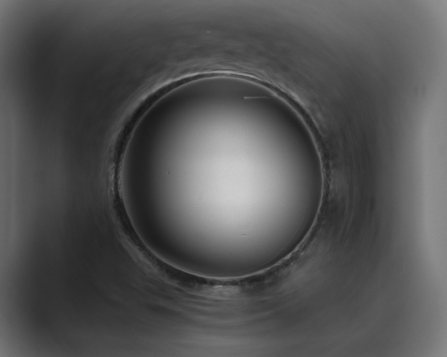 X0000089951503200706291202