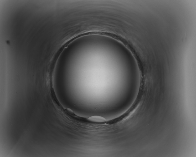 X0000089951505200706291202