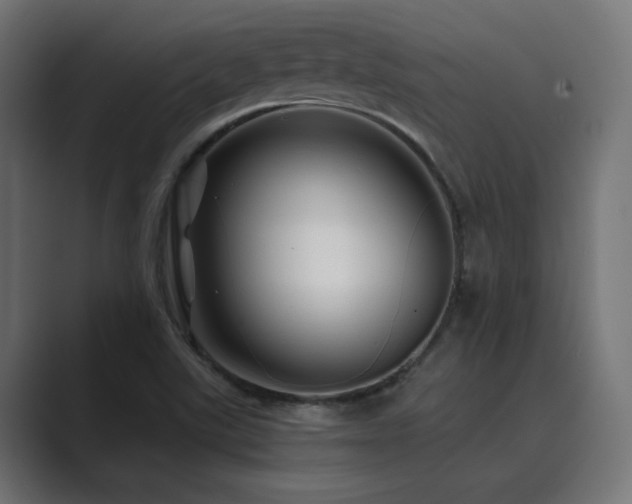 X0000089951507200706291202