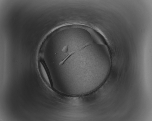 X0000089951508200706291202