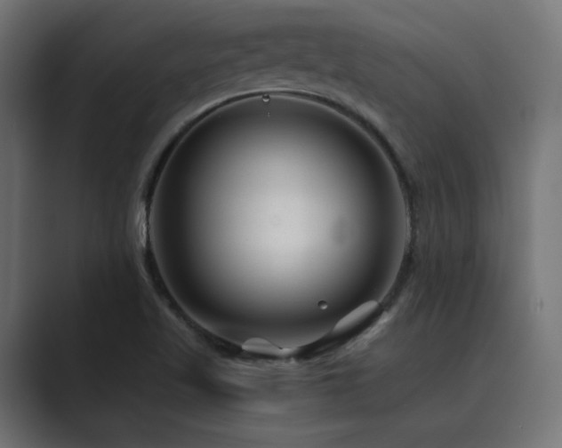 X0000089951509200706291202