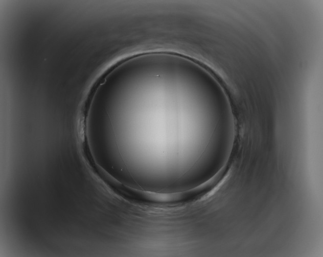 X0000089951510200706291202