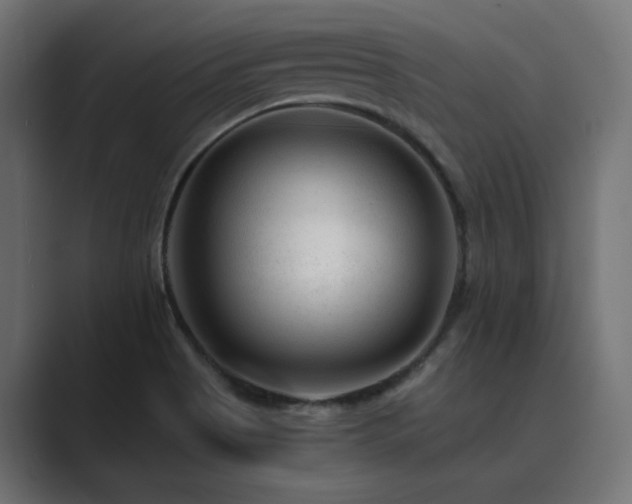 X0000089951513200706291202