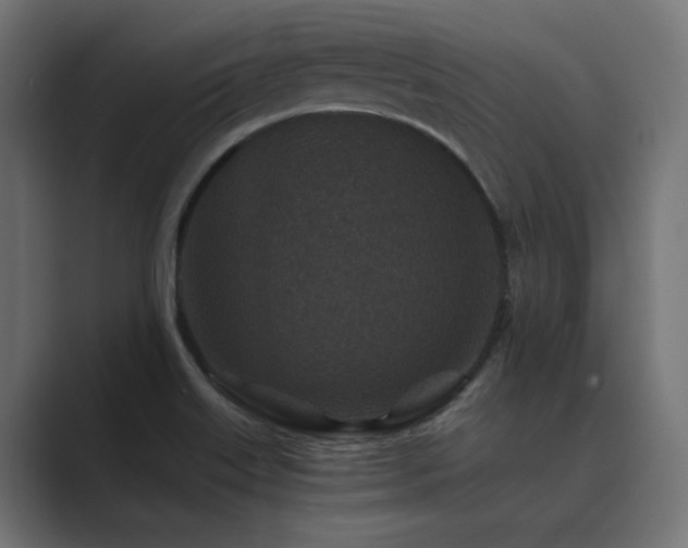 X0000089951515200706291202