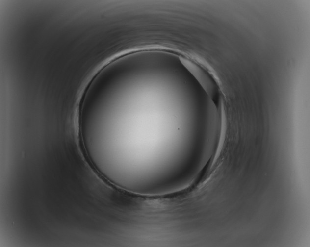 X0000089951516200706291202