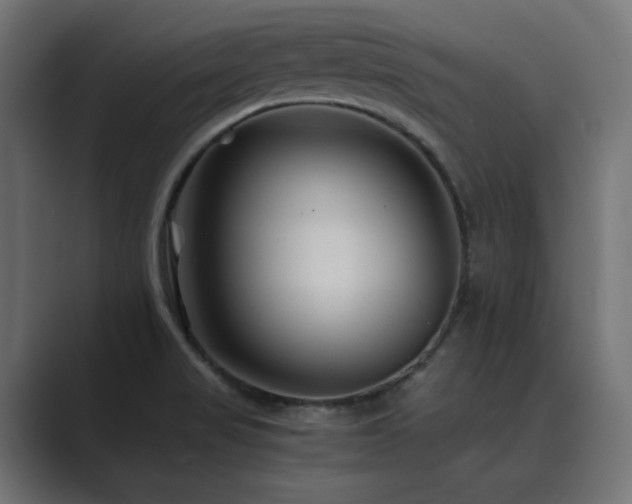 X0000089951517200706291202
