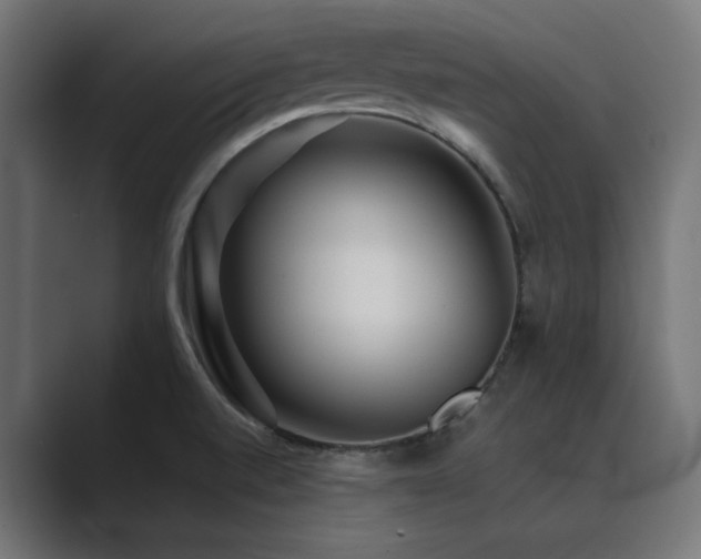 X0000089951520200706291202