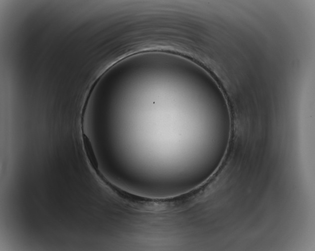 X0000089951521200706291202