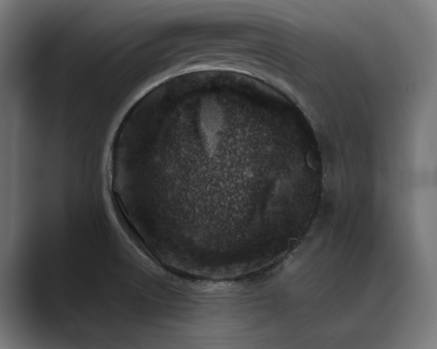 X0000089951522200706291202