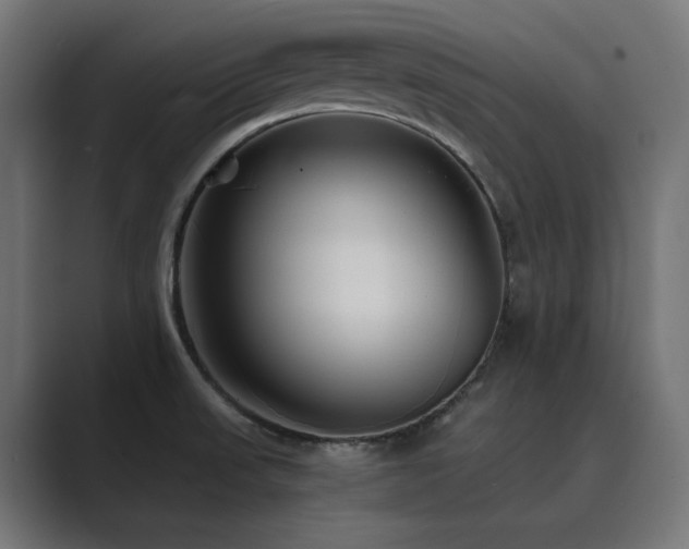 X0000089951523200706291202