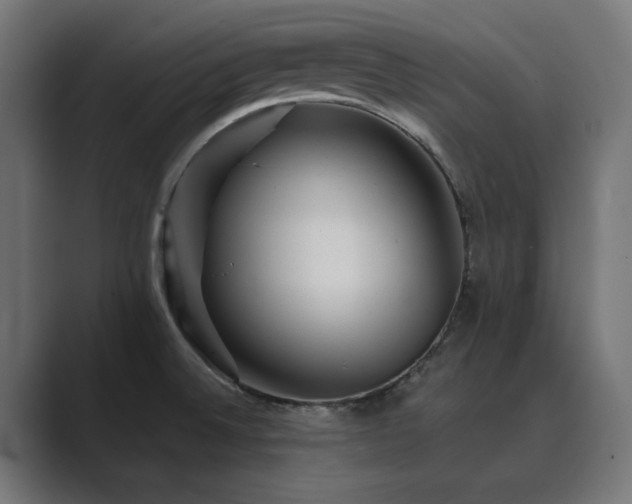 X0000089951524200706291202