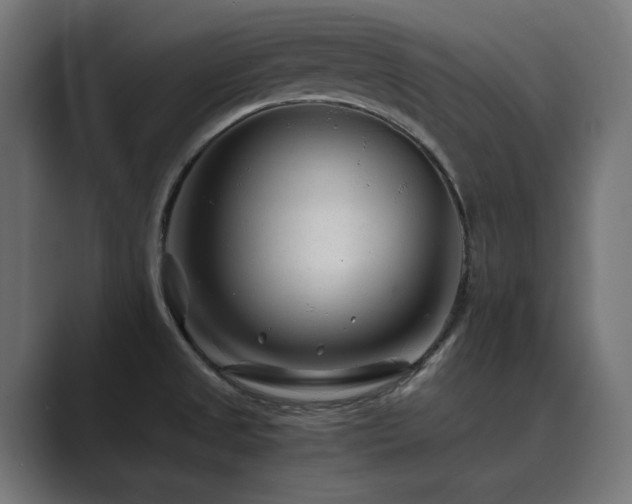 X0000089951525200706291202