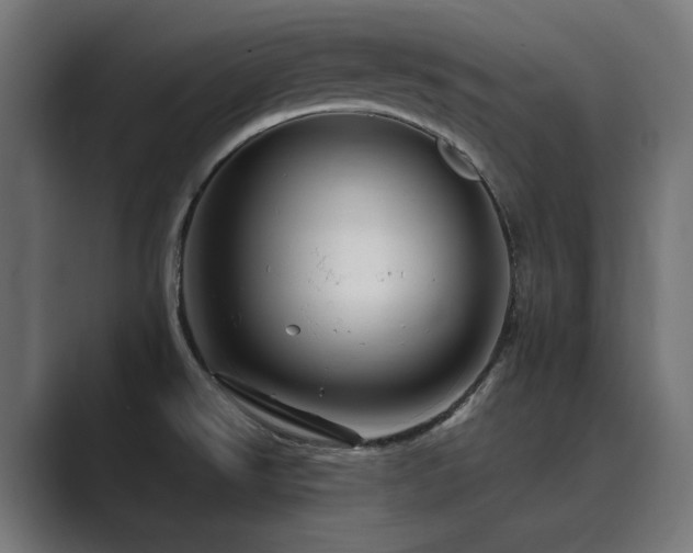 X0000089951526200706291202
