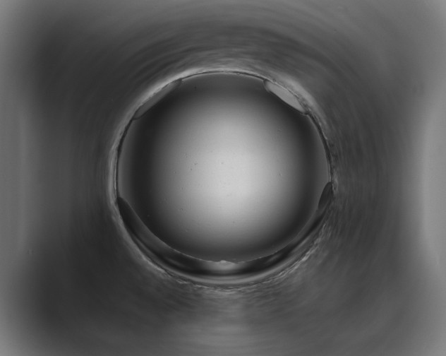 X0000089951528200706291202