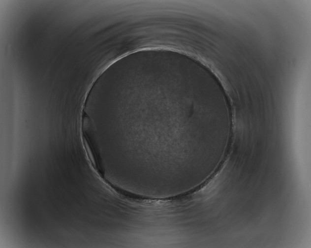 X0000089951529200706291202