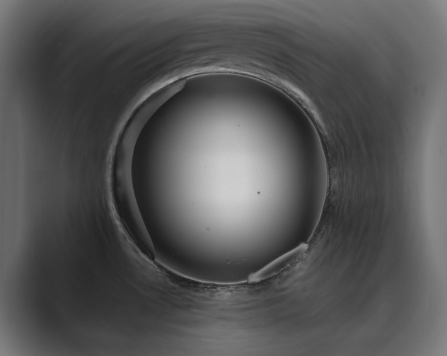 X0000089951530200706291202