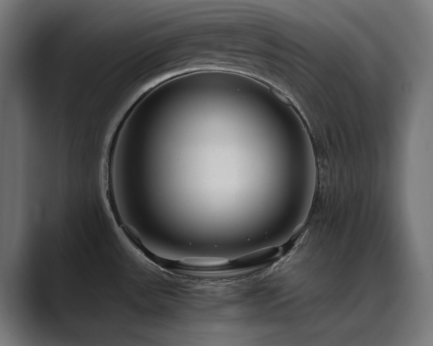 X0000089951531200706291202