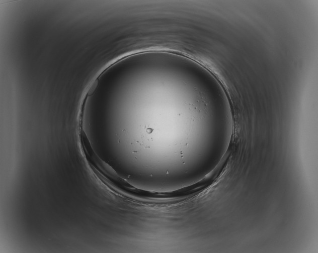 X0000089951532200706291202