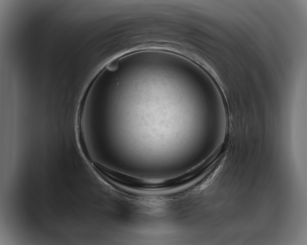 X0000089951533200706291202