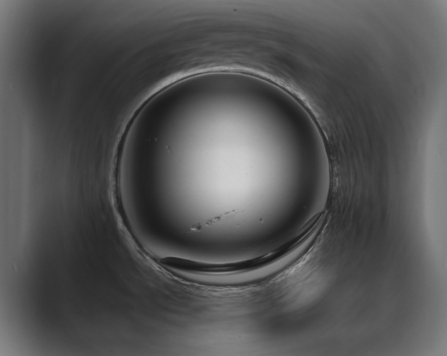 X0000089951534200706291202