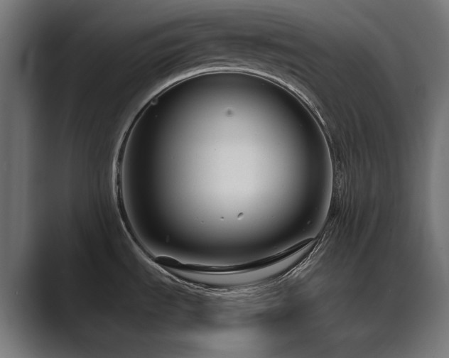 X0000089951535200706291202