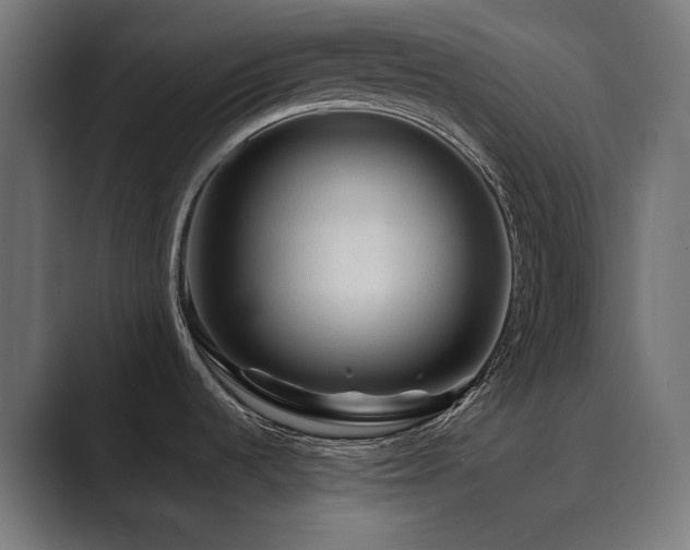 X0000089951536200706291202