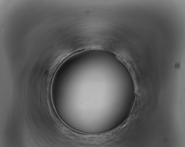 X0000089950001200707061129
