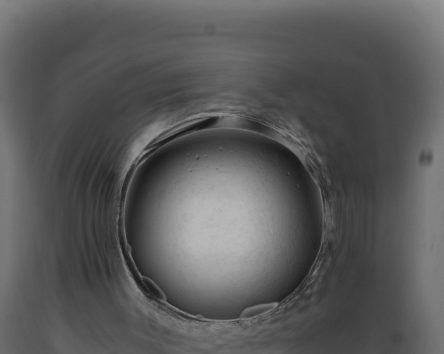 X0000089950003200707061129