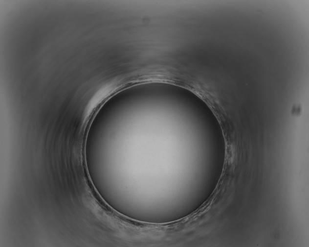 X0000089950004200707061129