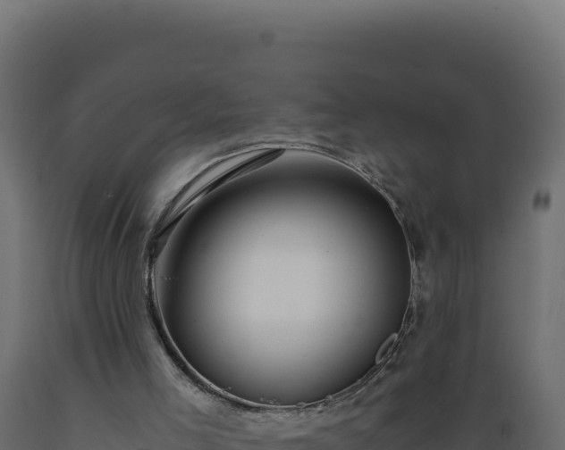 X0000089950005200707061129