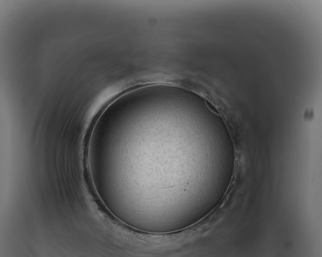 X0000089950006200707061129
