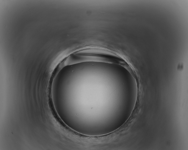 X0000089950007200707061129