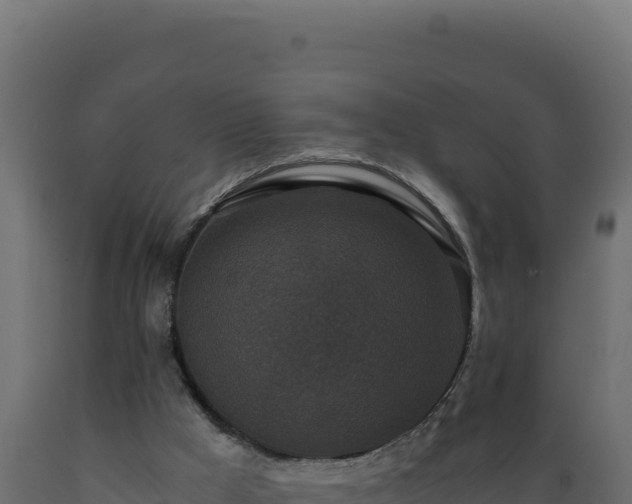 X0000089950009200707061129