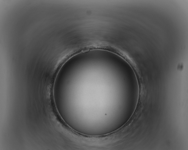 X0000089950010200707061129