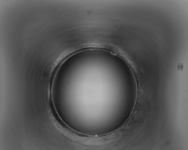 X0000089950011200707061129